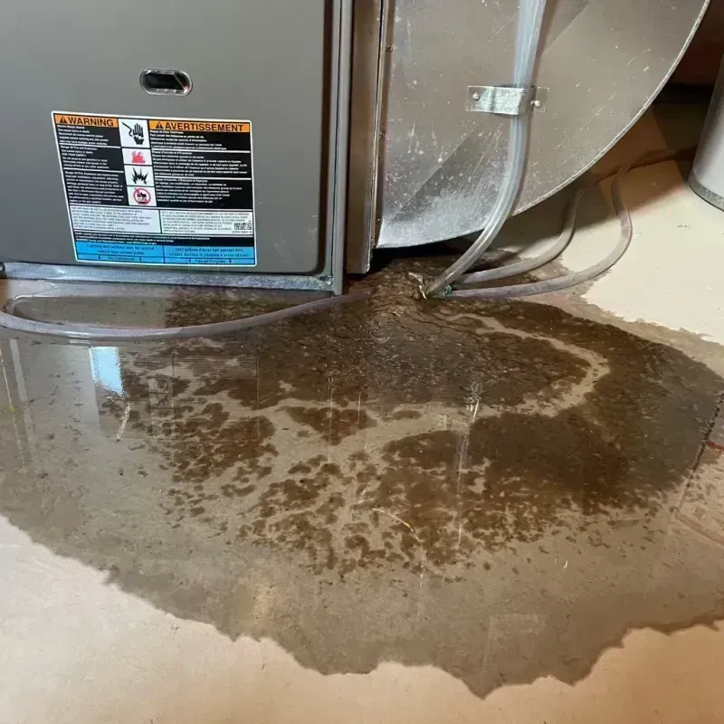 Appliance Leak Cleanup in Pawnee, IL